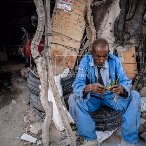 Item #112381046722962836592974674419935165827730707126809541689433939933895174651914 Media