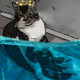 76537870632697727975454875026635688863429421521333734898978150728234864476161