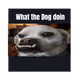42562444542161755792584416289725641568743232182256011755968102620684680691713