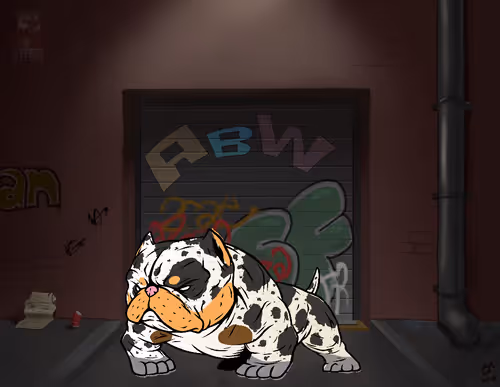 99947520248706494812773634078367873205673484717388873773815583123096823922689