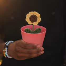 24254534113002831667604478980442589605007155413265616638335107376142270595073