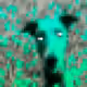 3406972158601721835902966302366386836364321473296104568327921452794882555905