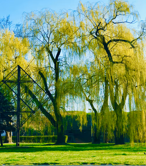 Item #95929591925747537793755535330202469047163806593735569471026186115300515119105 Media