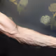 71794664505374166800495967595889866489660992983551738116529004614637414514689
