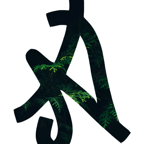 Item #46168381240213215278424971395699705739925645610256183016926779424371143344129 Media