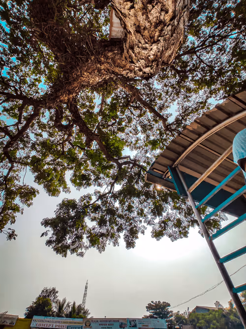 Item #71096490581542028693296375726568766640546572075829143306372201882823289733121 Media