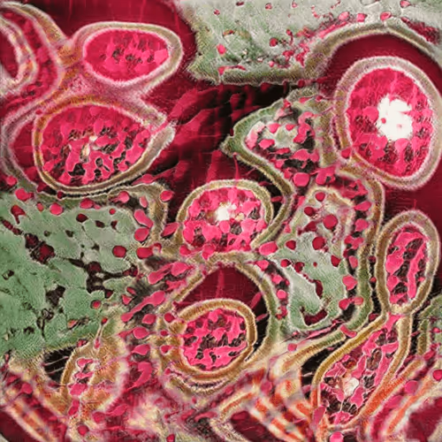 Item #58241160855422744817468407088196322100109565521561100950236906802629924880385 Media