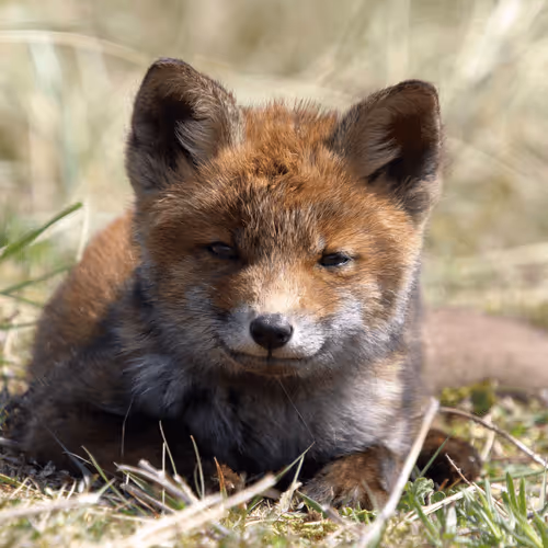 Item #13941605867614837690918824446887130433588477775612288025294768853715783778305 Media