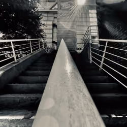 /\ Perspective #3