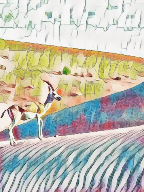 Item #36782780807699903135038144501557320909410292895804866127374726079816423964673 Media