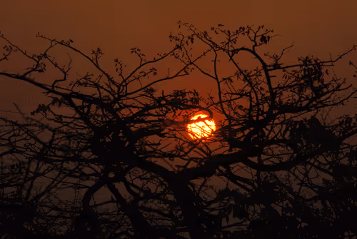 Item #98108020265707123080515839278141199127492919073800772568177559512753587093505 Media