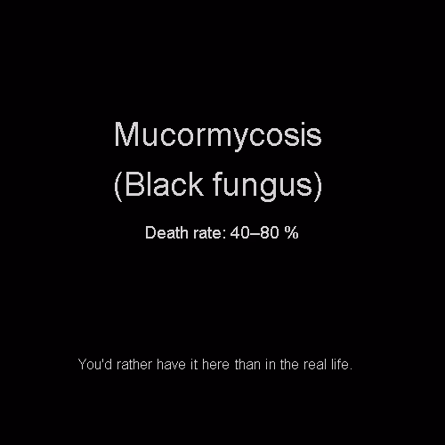 Item #81808085032476359797455255547863298923837726005960725874573045507936170804200 Media