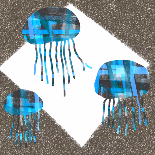 Item #63322779148917501457431457821894241232727338656055839634179427952534738698241 Media