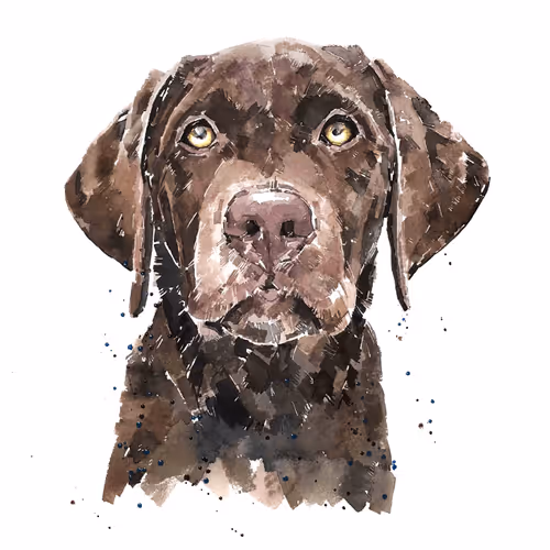 Item #15308155937593783866228062712704217529335676444312394672786838671100437594117 Media