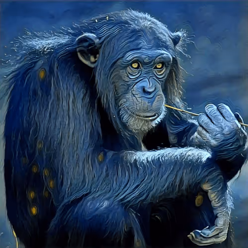 Item #57268700933115643080553031252325065086238895032956808612156434484016642523141 Media