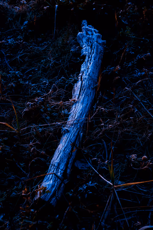 Item #87176501403928380168498398811960935080748737073158175460079780484638822105089 Media