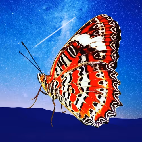 Item #55722805731594590865858469178127069440200032691454868183334866897184235716609 Media