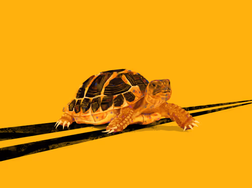 Item #82126505233866323125739586283159396698001752003624939883200783609724594552842 Media