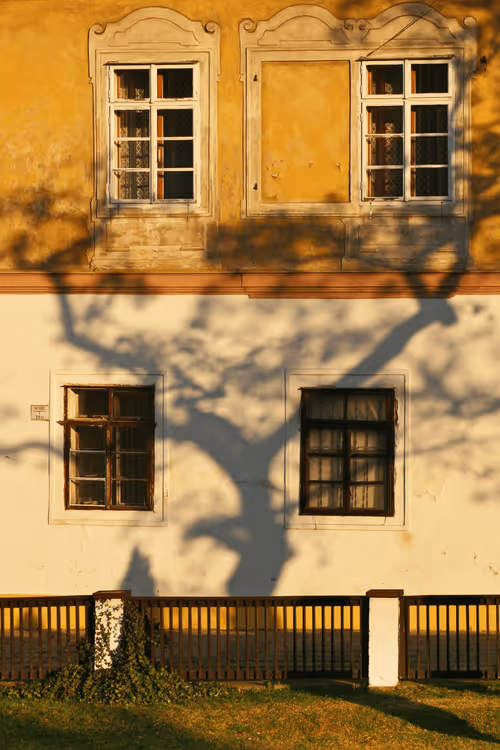 Item #72771752724512834897841148734331697196499953349916527017693403105874738675812 Media