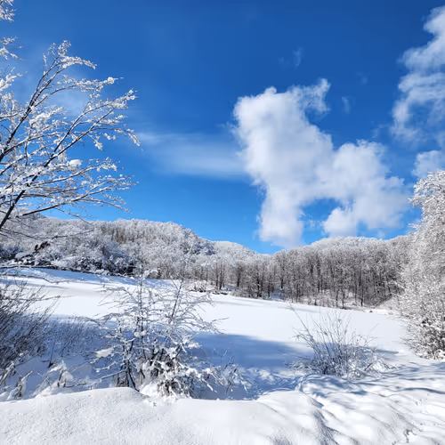 Item #35224193369483123163213168924036755659039391999169701395099101085779022053377 Media