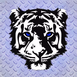 Ohana Tiger Blue Steel