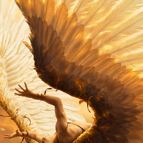 Untitled Collection #61964790