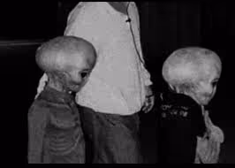 Item #9904232508516744841243121283726793551498964574342498012839096329087026724865 Media