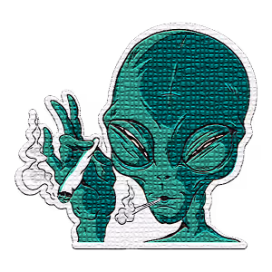 Item #57042165933115005315134391733025311554923819033960156403482422933938031820810 Media