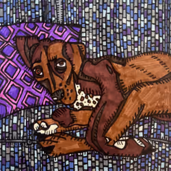 106167112070692214514072961634950698001961475196449498989508788261350780436481