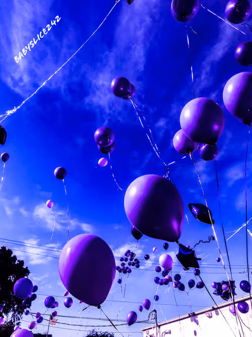 Item #19694953450994535055796596826502944982455978775333522112985953721469970153475 Media