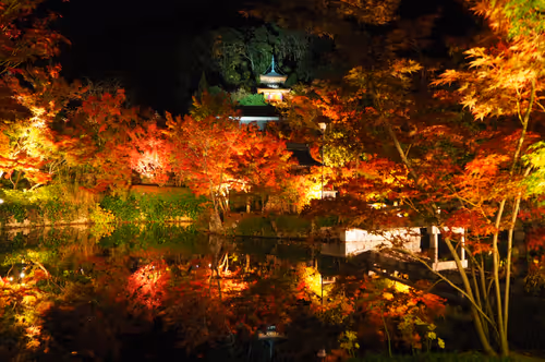 Item #109856220298400902651076580767902450481001671145135042895744925555201039925249 Media