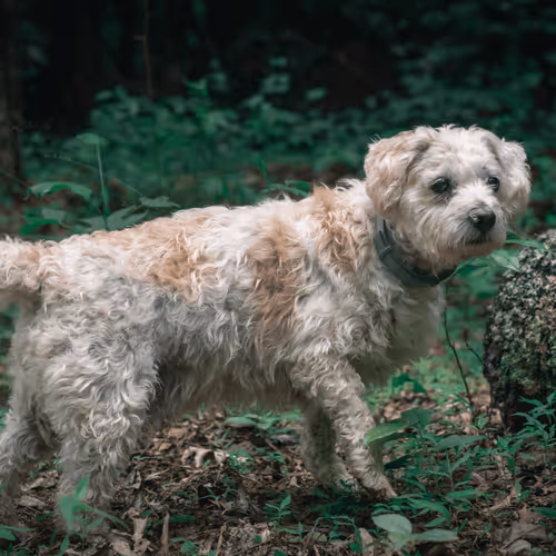 Item #108333172836631629328696584714053398631603269563571358519615745492236080513025 Media