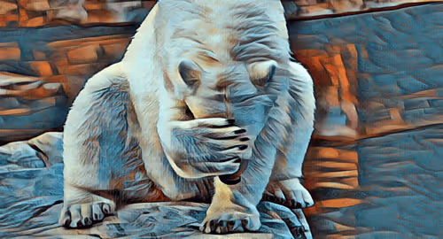 Item #5268166588450870648624449421433370993939742768172324454239271350425706561537 Media