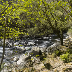 Waters Meet
