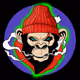 97900381924217813346640593400160224276969324062042824304629701949996799098890