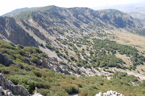 Item #56287055780979128950245095664156082691230445151418642547794192054109022978049 Media