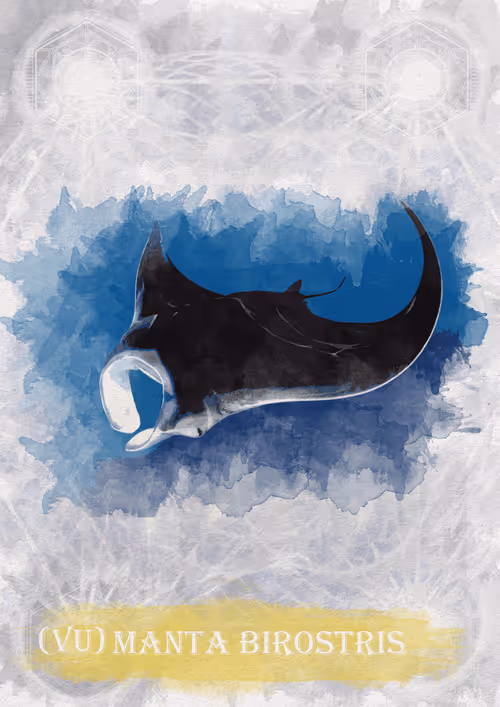 Item #108829080069432666427413762901192148077907568328307962474054884602430453972999 Media