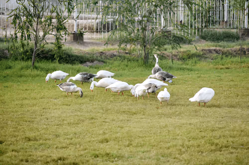 Item #81039049813216597257953829520223769972049979763513540310904561896853430337537 Media