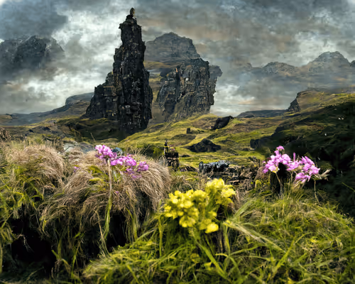 Item #97239176249824955743165329536563455047386016707933090521577354861531373764609 Media