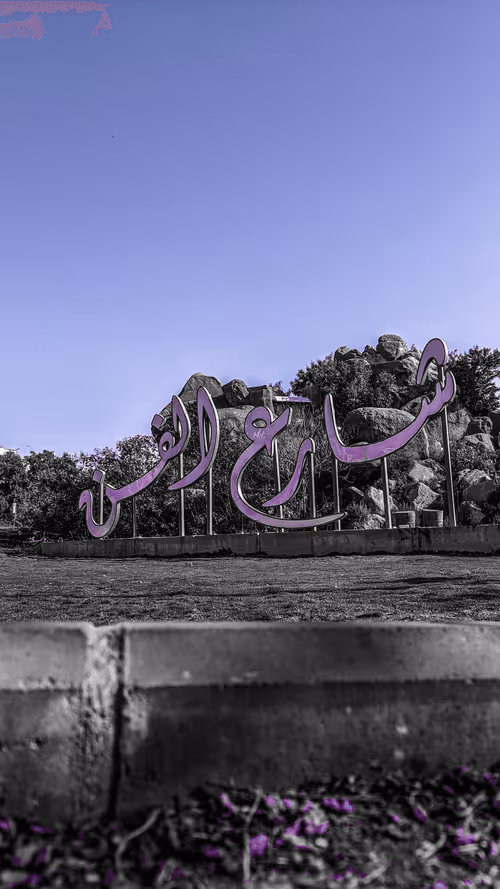 Item #83358423938983848717234732362626170541477966607061401988291757908669316988931 Media