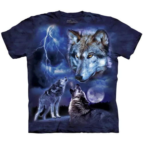 Item #2209628402847463971112224565333584709406042293552940386577273565345046593537 Media