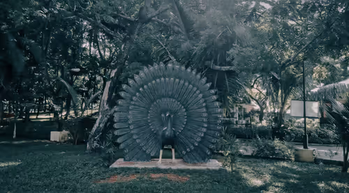 Item #66869618967602468746282682134224071188176977612925683750595185223204406820865 Media