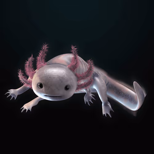 Item #39982110375740153587505644478940195082872270202471884348459982183184126181377 Media