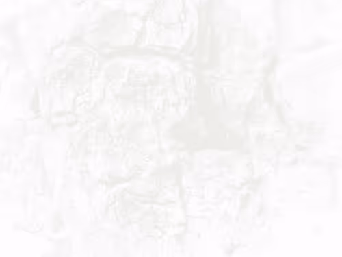 Item #108648420360214736937690321880281304067553396152004957868563263556354018639873 Media