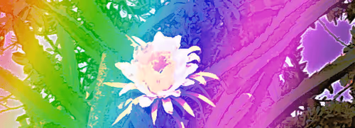 Item #55819846647966292030699163269675841155633468410479050998214104103470929805313 Media