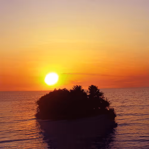 Item #29944342553246244514538317618467859415353478294903514238904969634491773485057 Media