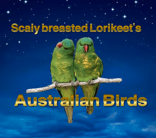 Item #13847091165139886550548507913753860487299745276601432995432972247494364768016 Media