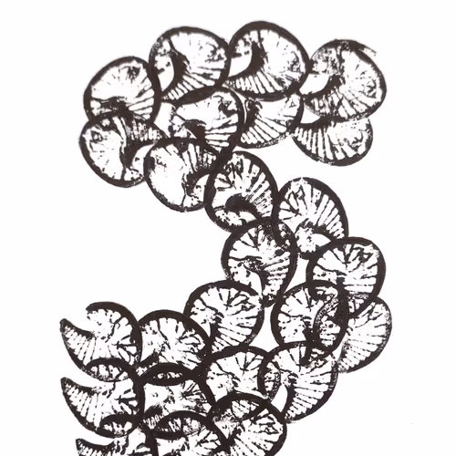 Item #114976545493241493257487804566862386491239486968085247361465236863360329318401 Media