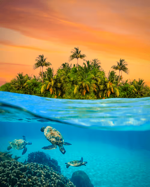 Item #1833942018307685364430672493149383567190945732151624631916381560458040049684 Media