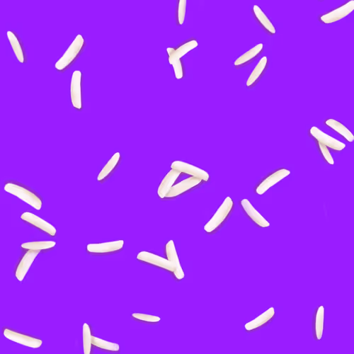 Ricegrains Zip7F9vsae